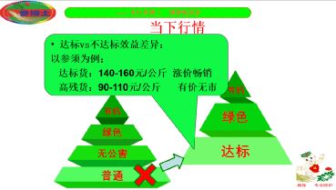 撫松縣人參產業重大技術協同推廣項目培訓會開講 科技賦能，助力人參產業高質量發展